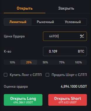 Настройка ордера на ByBit