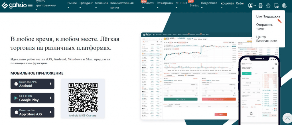 Ссылка на техподдержку, помогающую при различных проблемах