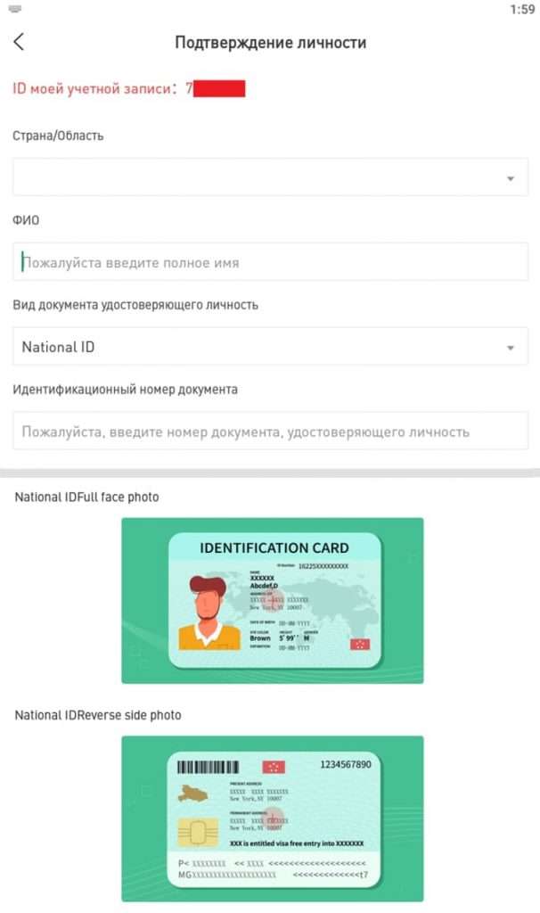 Страница приложения для прохождения верификации