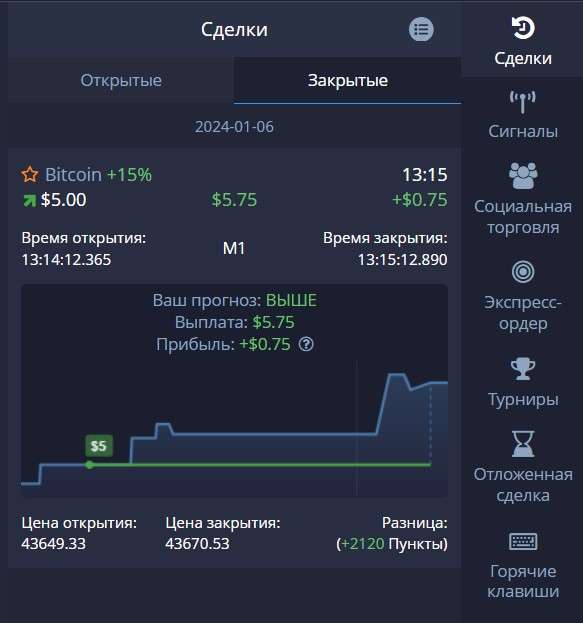 Результат сделки на платформе Pocket Option
