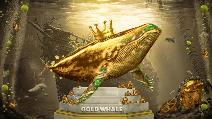 Конкурс Gold Whale від ForexChief