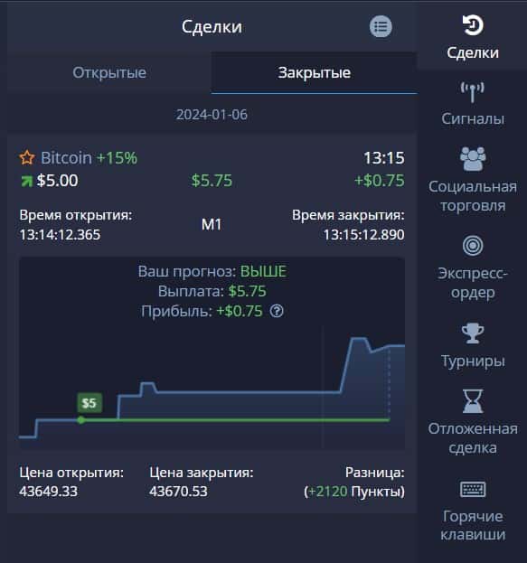 Результат сделки на платформе Pocket Option