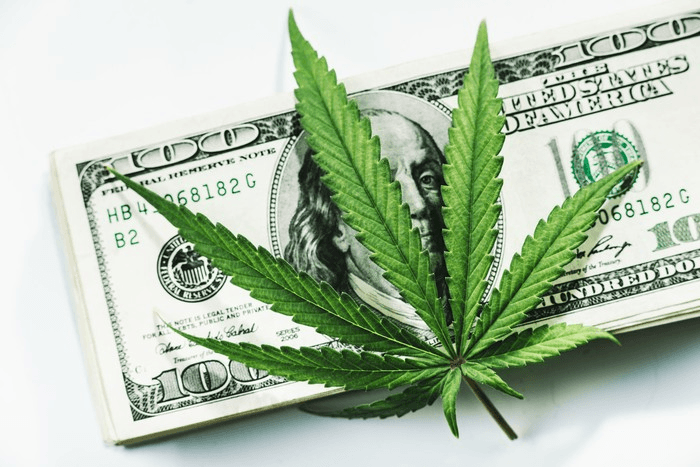 Лучшие акции производителей марихуаны для инвестирования