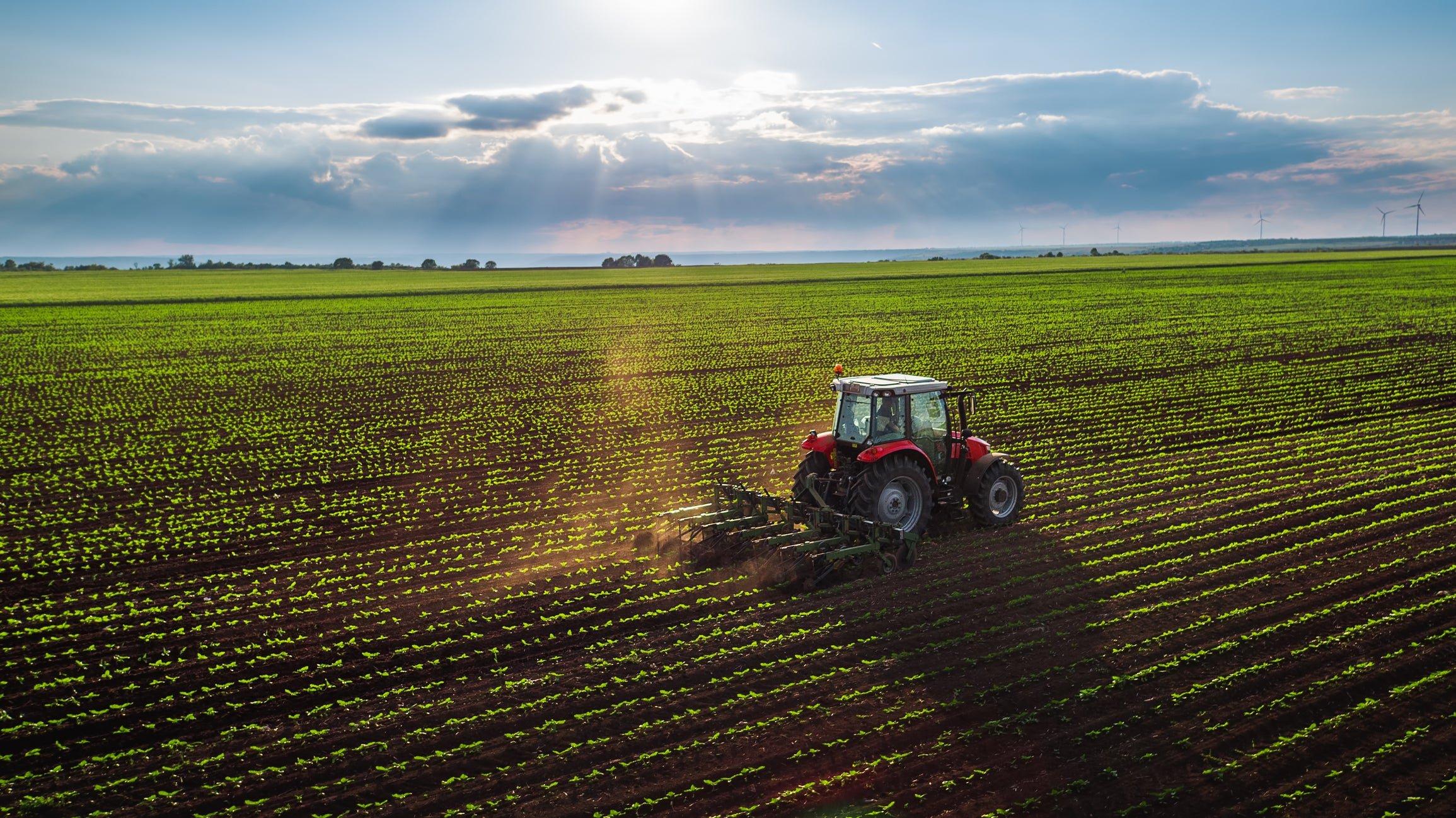 Лучшие акции сельскохозяйственных компаний на 2022 год