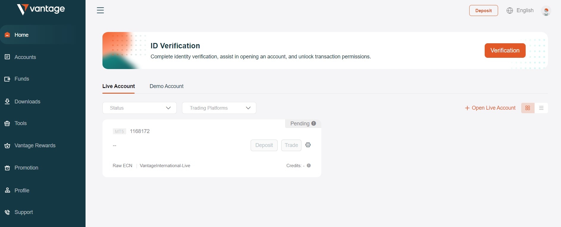 Account verification in Vantage Client Portal
